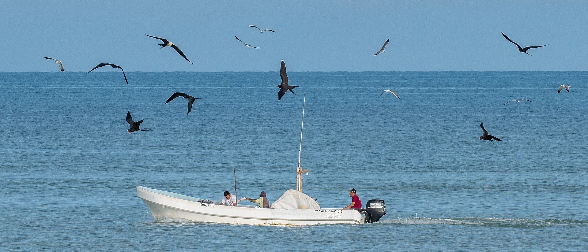 Pescadores en pausa: Isaías cerró seis puertos