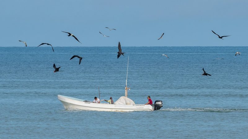 Pescadores en pausa: Isaías cerró seis puertos