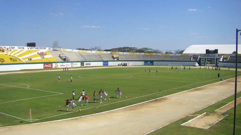 Venados recibe a Leones Negros este sábado